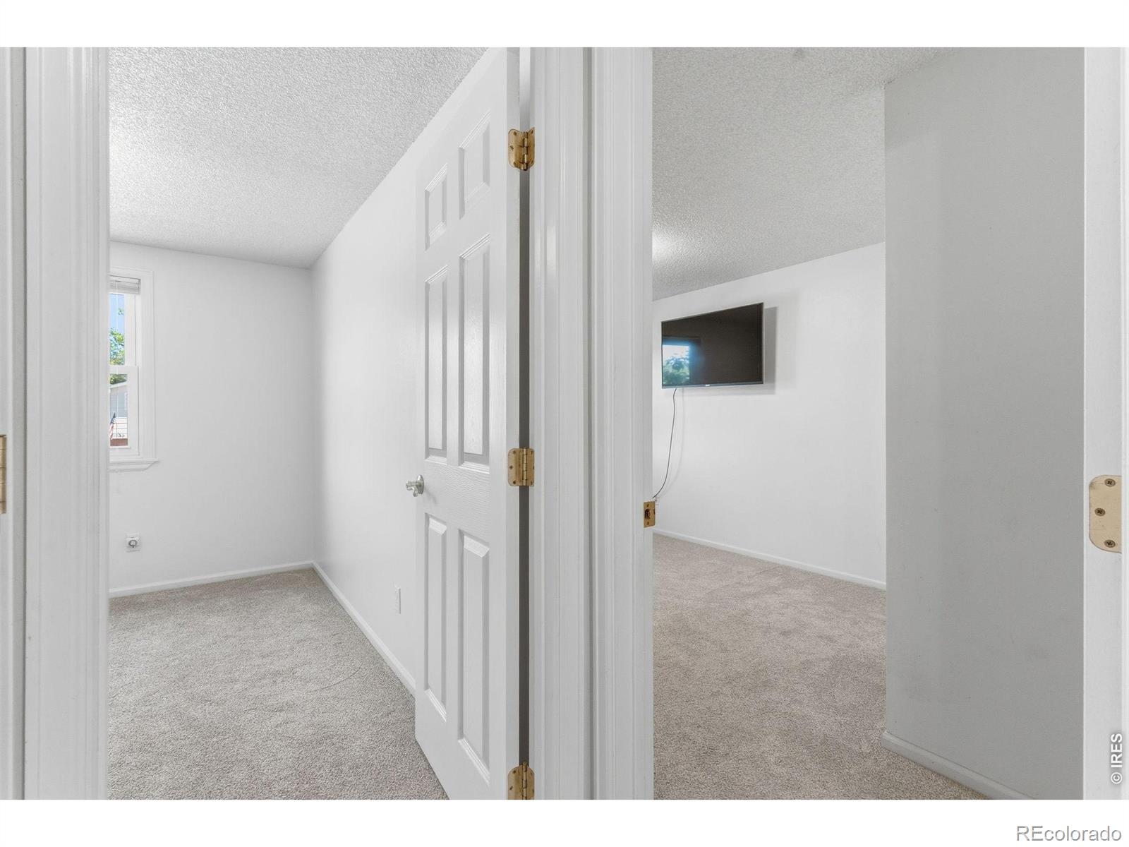 MLS Image #19 for 1040  white elm drive,loveland, Colorado