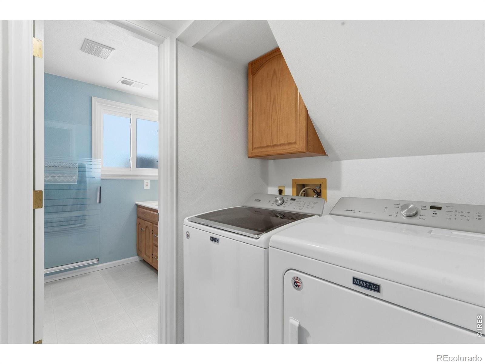 MLS Image #27 for 1040  white elm drive,loveland, Colorado