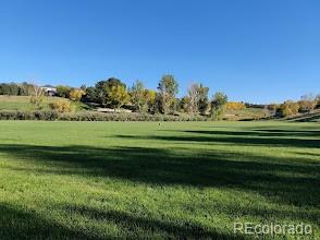 MLS Image #38 for 6791  tiger walk,lone tree, Colorado