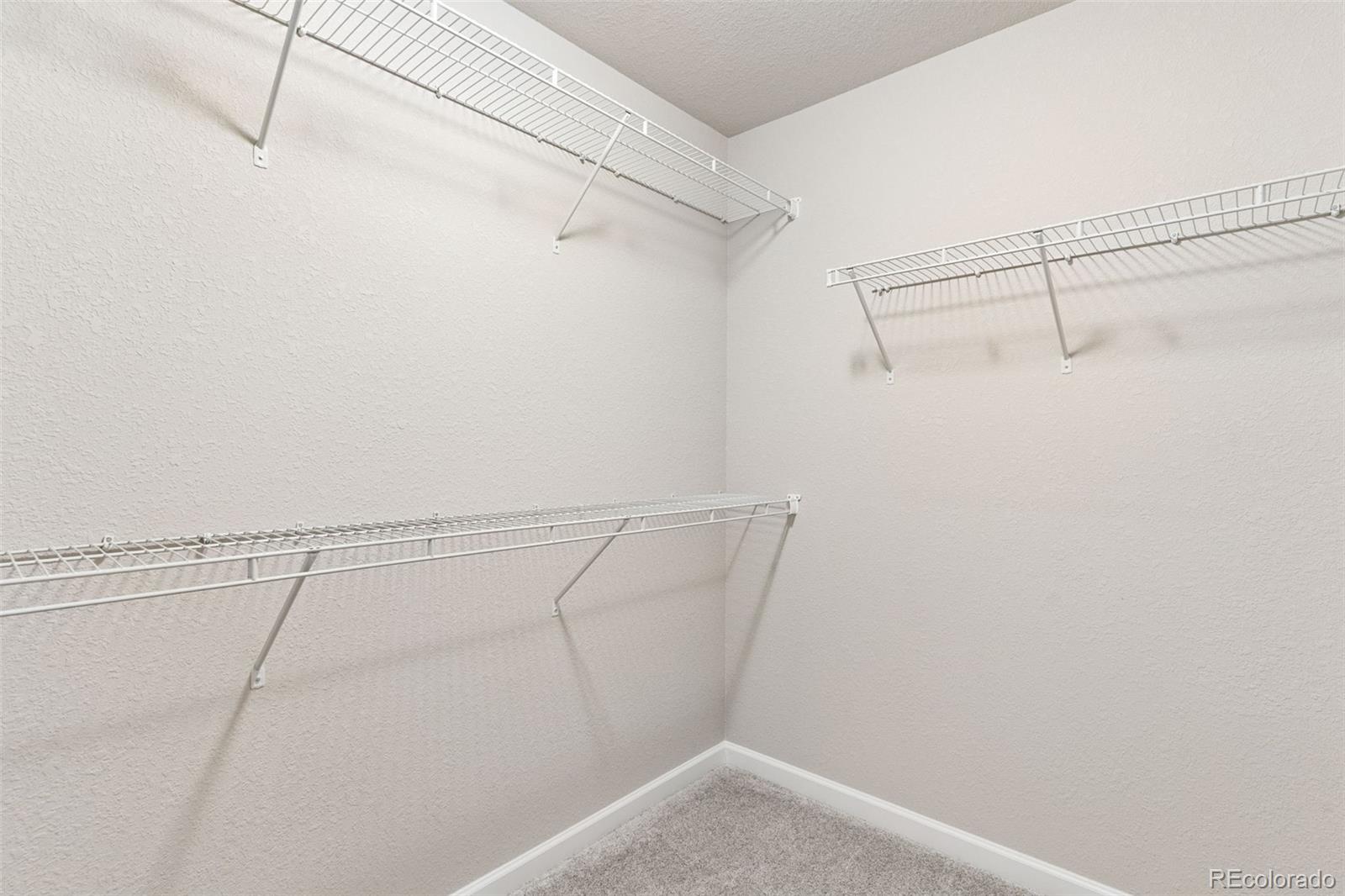 MLS Image #33 for 4075  tiberias point,colorado springs, Colorado