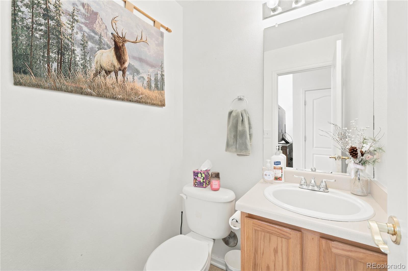 MLS Image #14 for 180  ellendale street,castle rock, Colorado