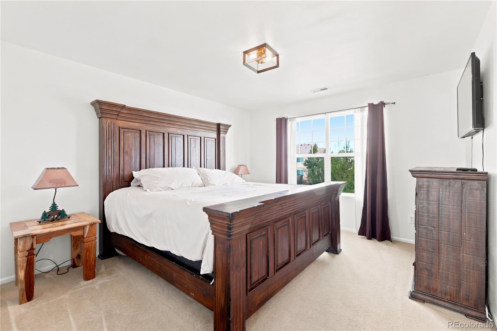MLS Image #16 for 180  ellendale street,castle rock, Colorado