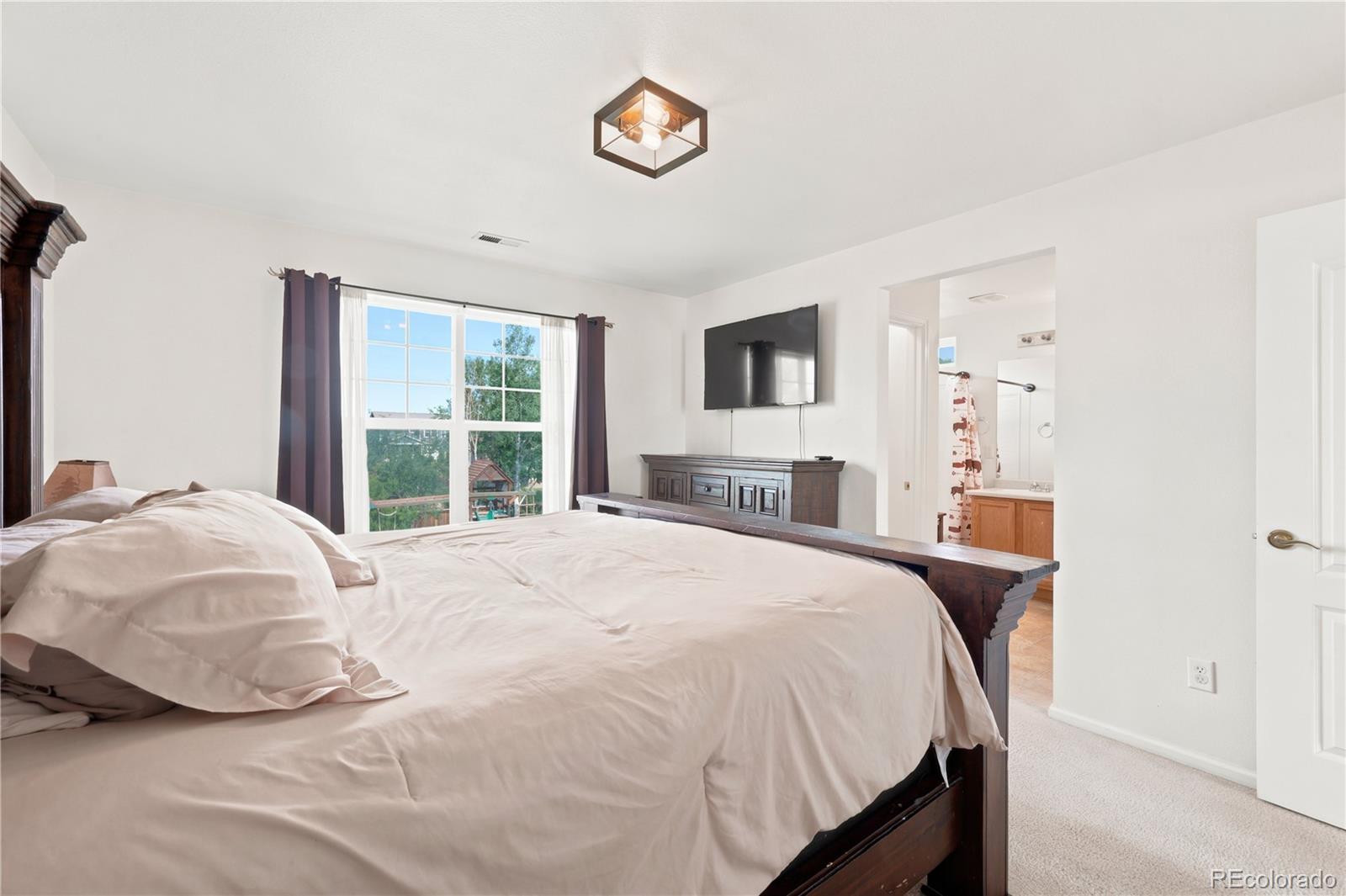 MLS Image #17 for 180  ellendale street,castle rock, Colorado