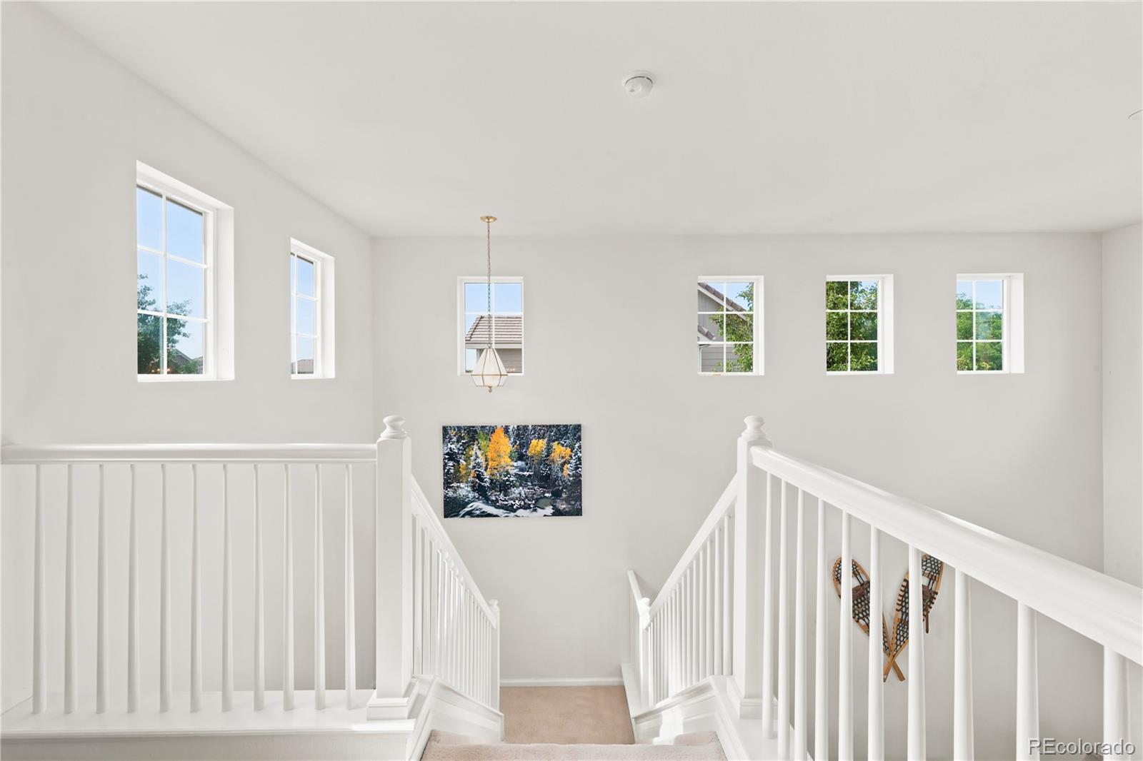 MLS Image #21 for 180  ellendale street,castle rock, Colorado