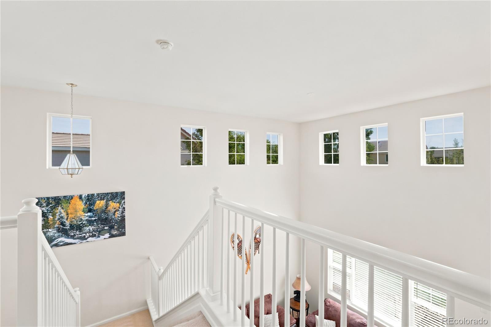 MLS Image #22 for 180  ellendale street,castle rock, Colorado