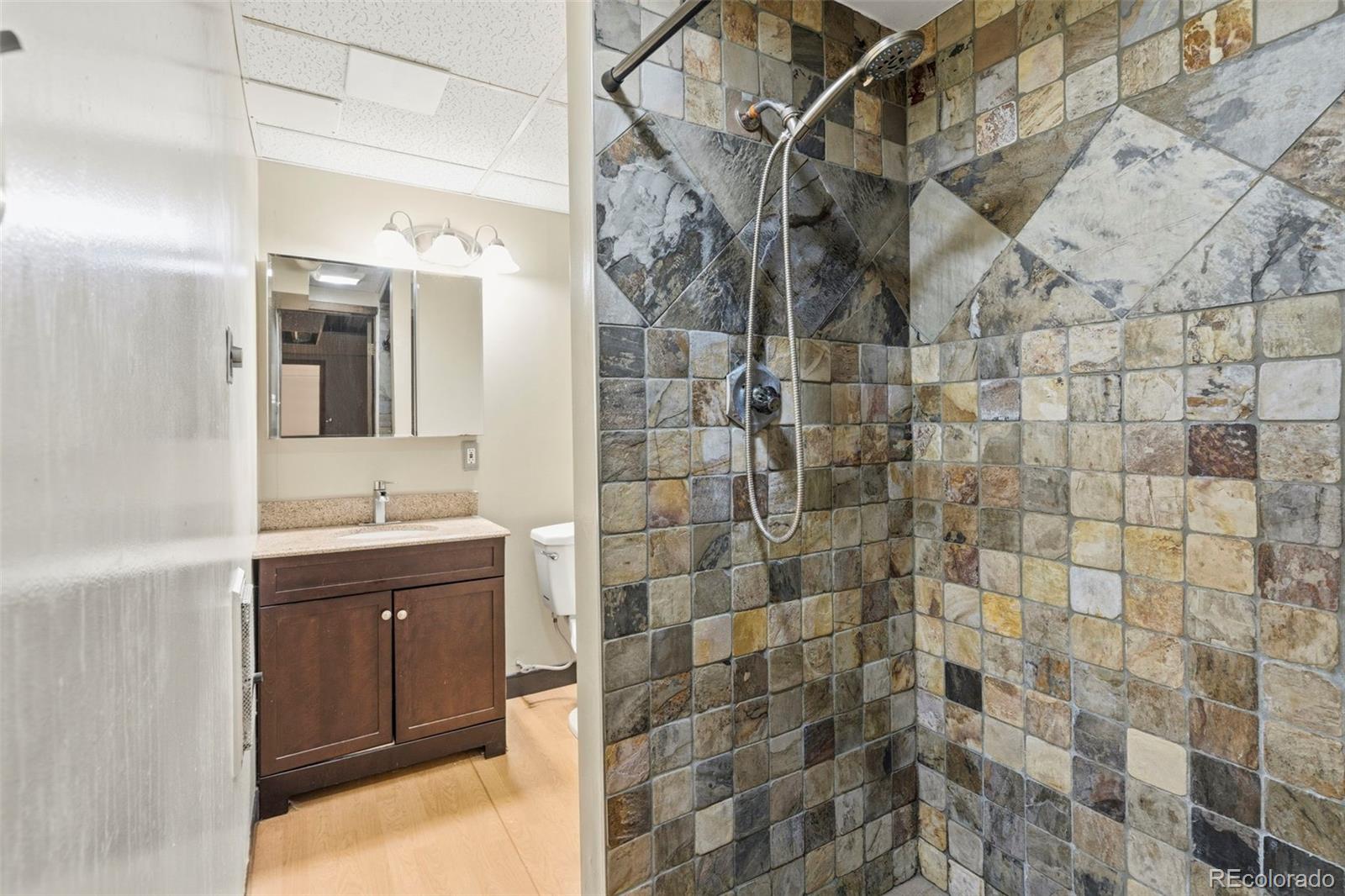 MLS Image #12 for 2670 s norman court,denver, Colorado