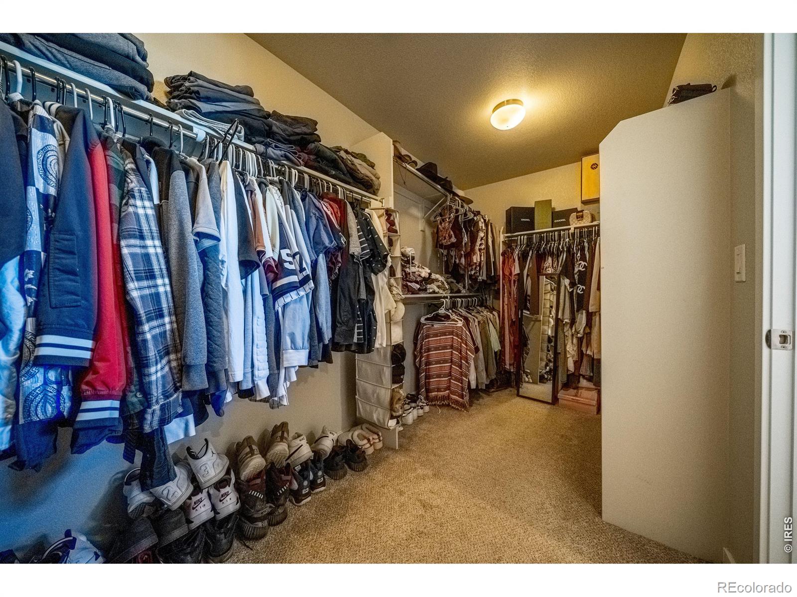 MLS Image #16 for 2402  barela drive,berthoud, Colorado