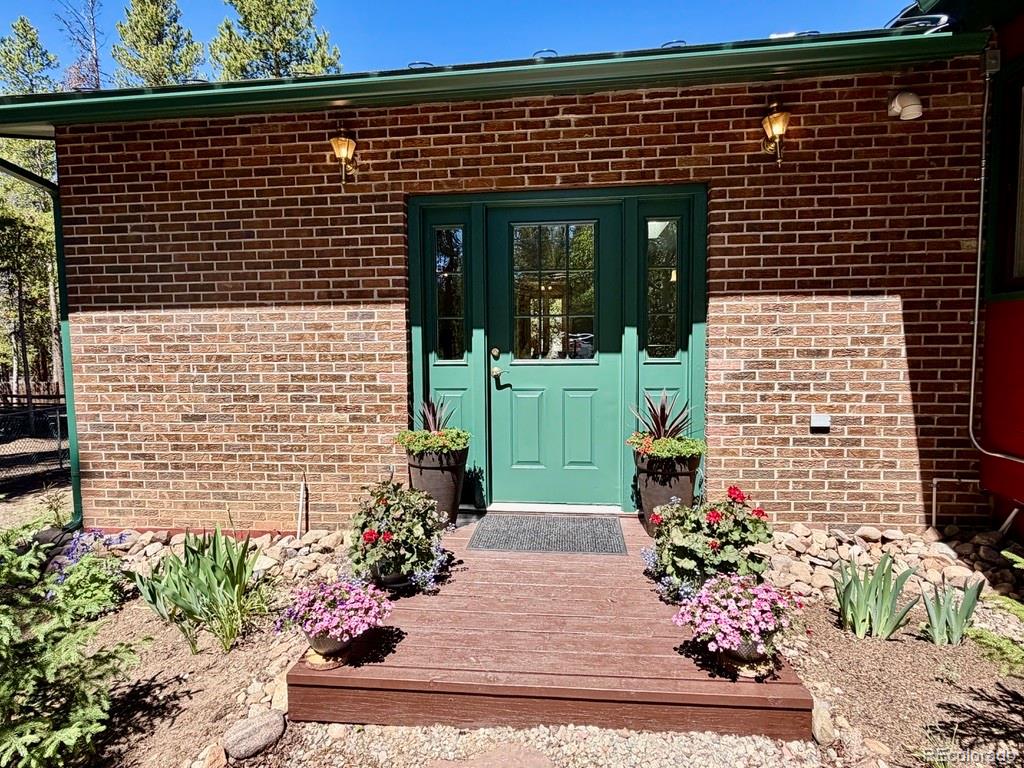 MLS Image #11 for 245  baby doe drive,leadville, Colorado