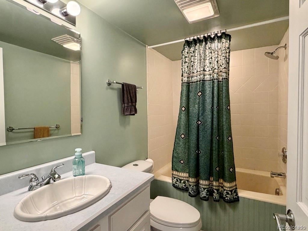 MLS Image #17 for 245  baby doe drive,leadville, Colorado