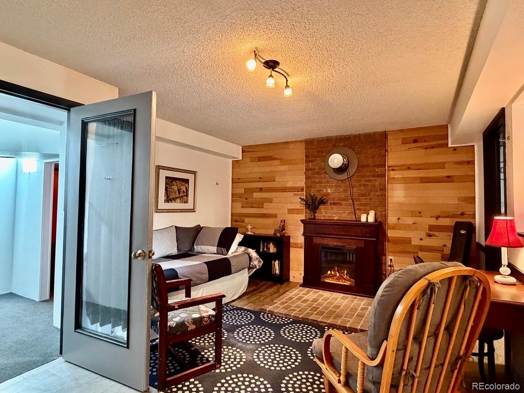 MLS Image #28 for 245  baby doe drive,leadville, Colorado