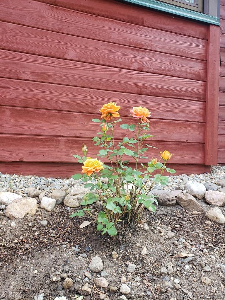 MLS Image #40 for 245  baby doe drive,leadville, Colorado