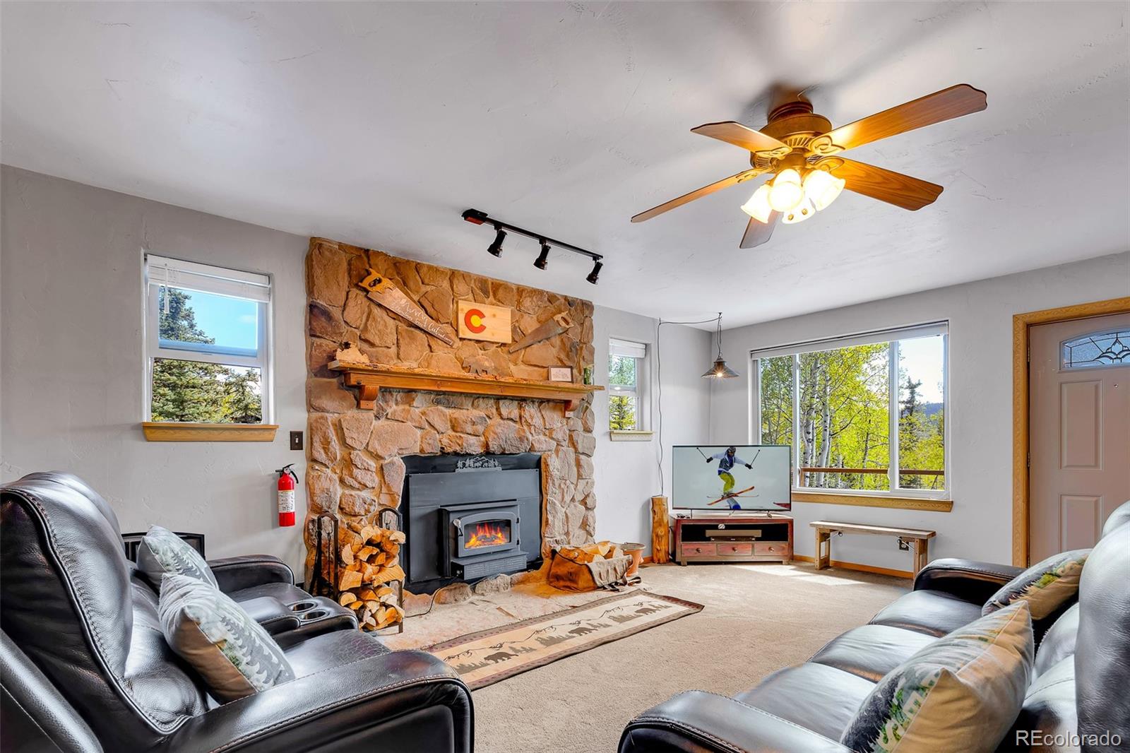MLS Image #13 for 216  ambush lane,jefferson, Colorado