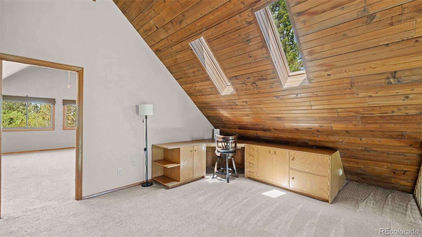 MLS Image #18 for 506  ridge road,divide, Colorado