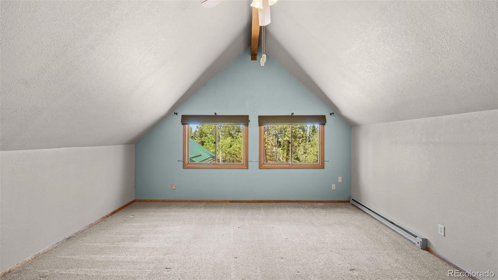 MLS Image #22 for 506  ridge road,divide, Colorado