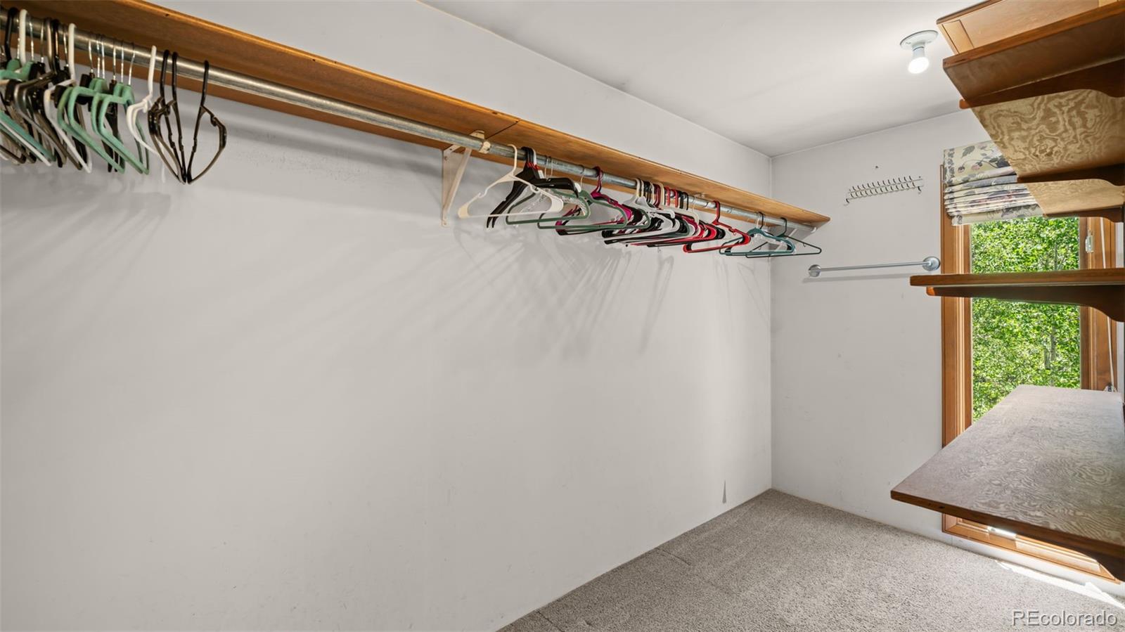 MLS Image #24 for 506  ridge road,divide, Colorado
