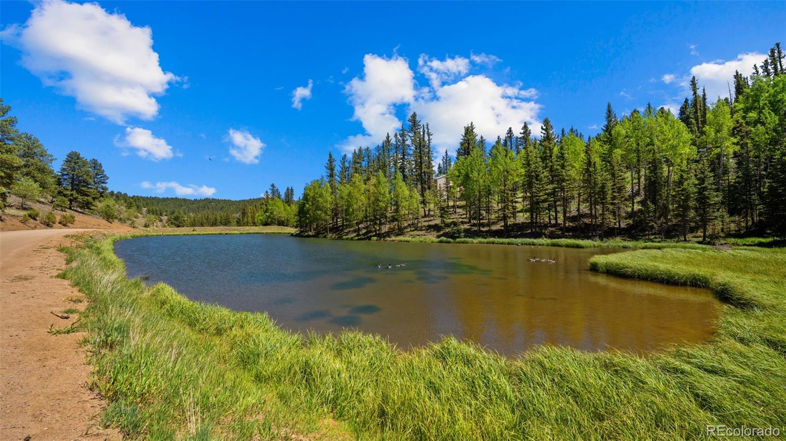 MLS Image #45 for 506  ridge road,divide, Colorado
