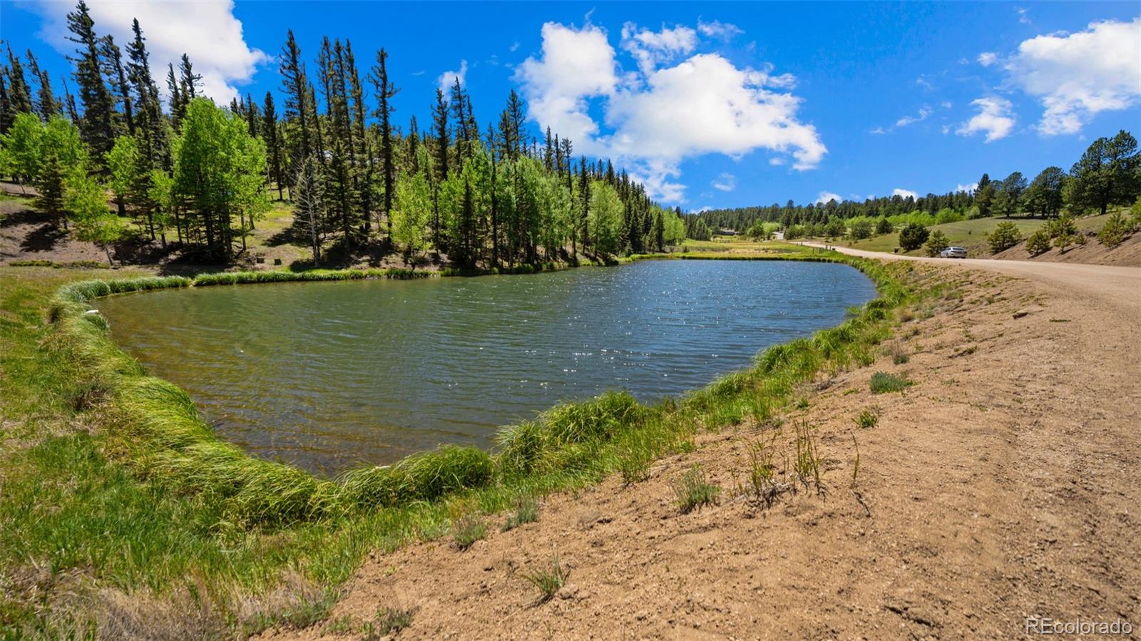MLS Image #46 for 506  ridge road,divide, Colorado