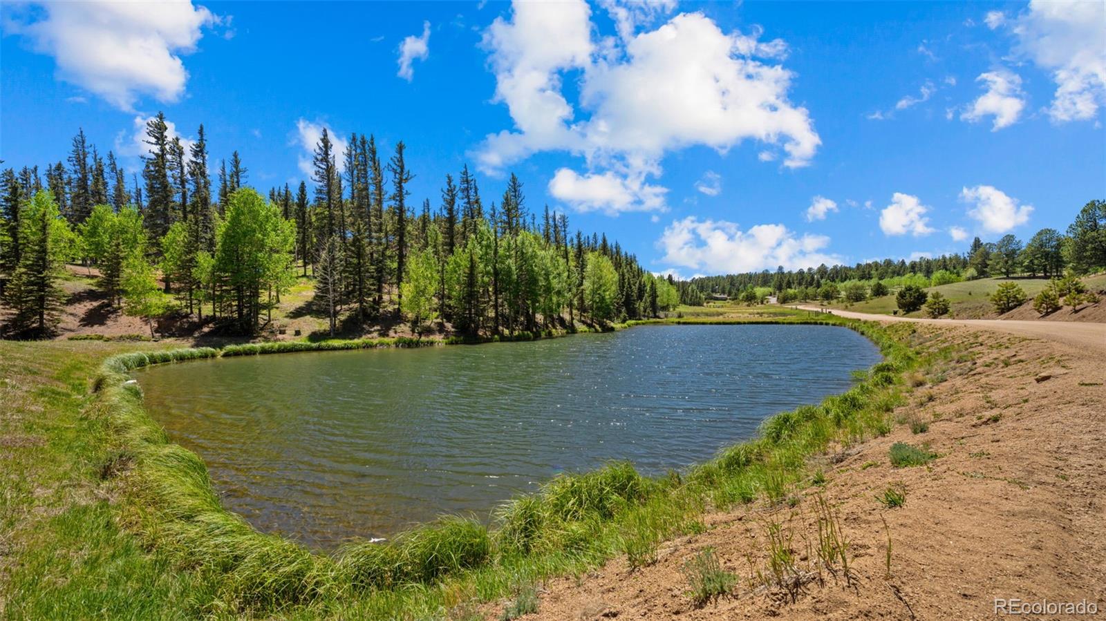 MLS Image #47 for 506  ridge road,divide, Colorado