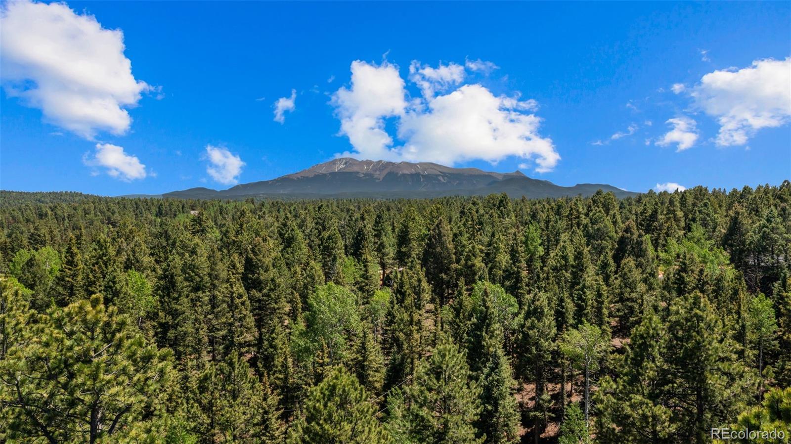 MLS Image #48 for 506  ridge road,divide, Colorado