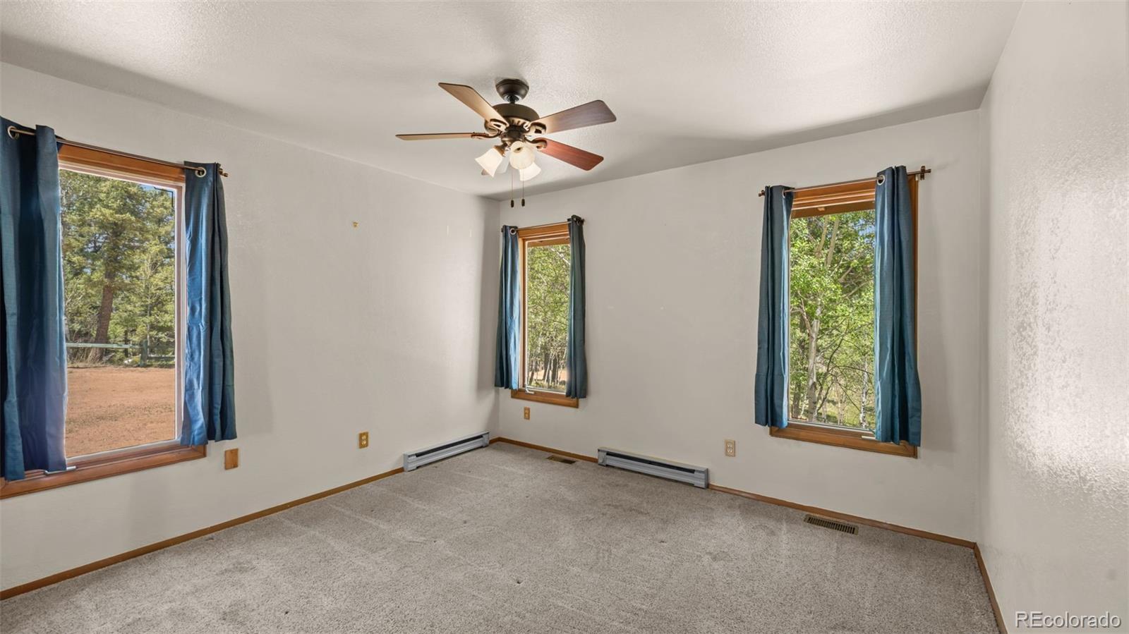 MLS Image #8 for 506  ridge road,divide, Colorado