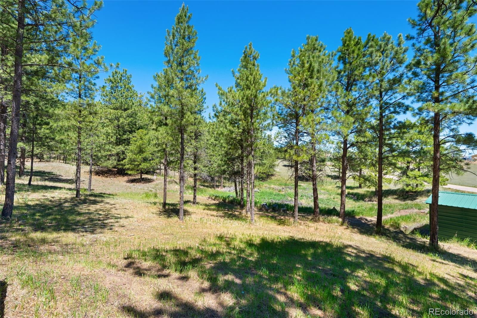 MLS Image #35 for 5463  high park road,florissant, Colorado