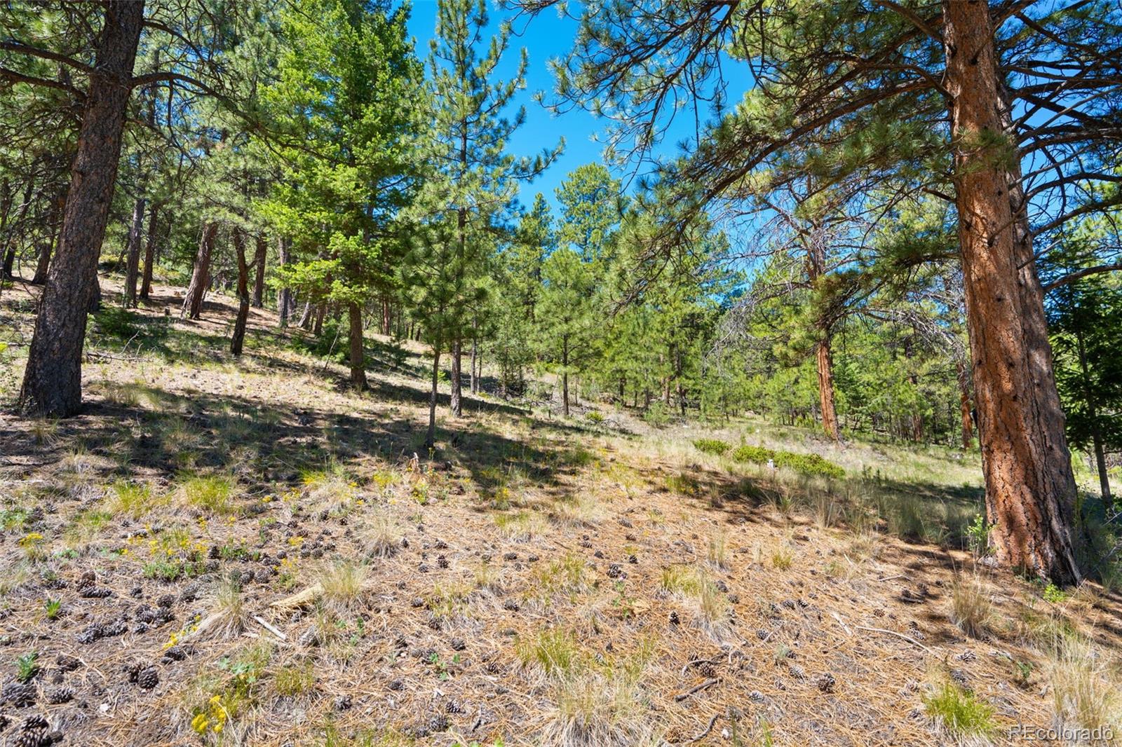 MLS Image #38 for 5463  high park road,florissant, Colorado