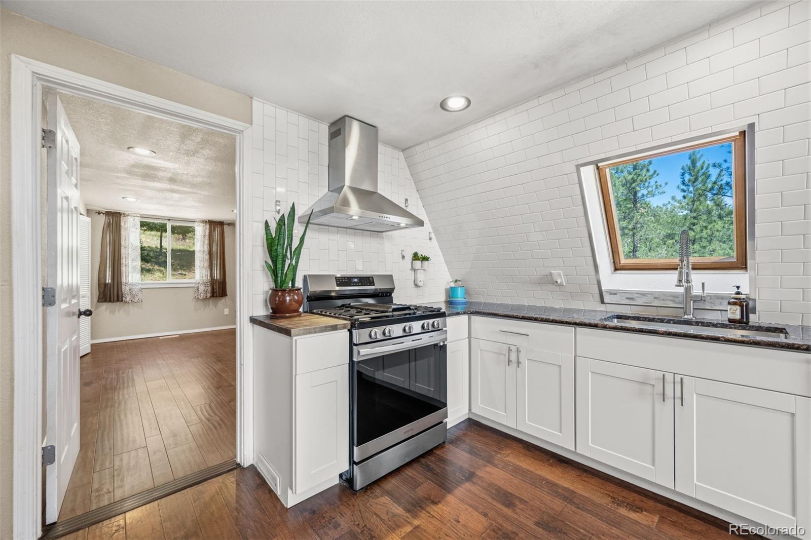 MLS Image #9 for 5463  high park road,florissant, Colorado