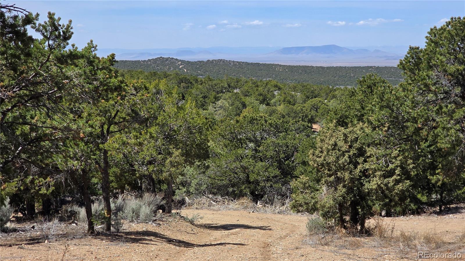 MLS Image #30 for 1380  dunn road,san luis, Colorado