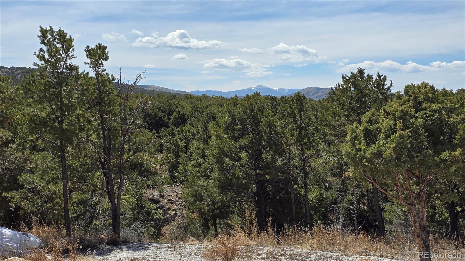 MLS Image #31 for 1380  dunn road,san luis, Colorado