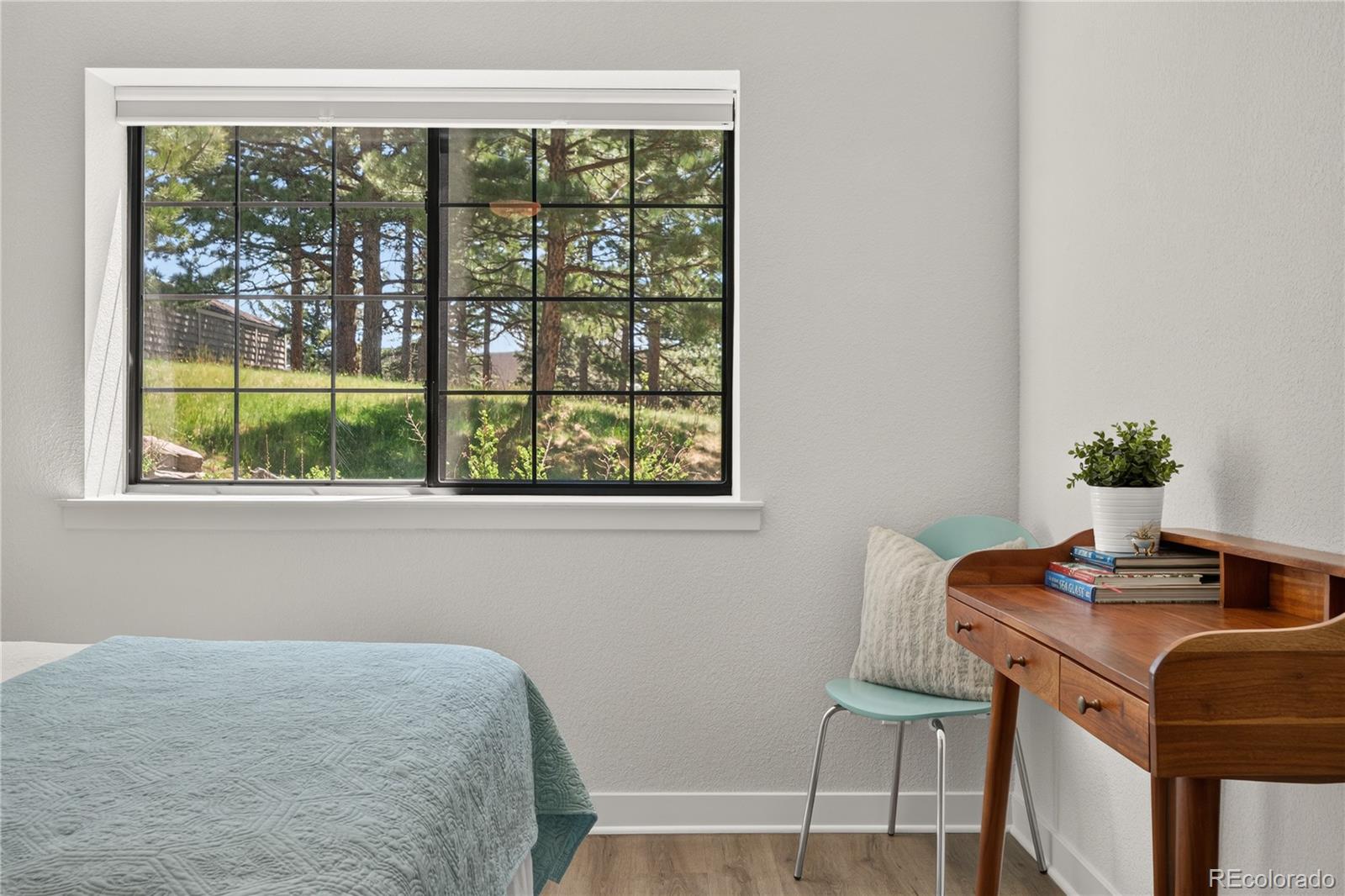 MLS Image #13 for 31719  rocky village drive,evergreen, Colorado