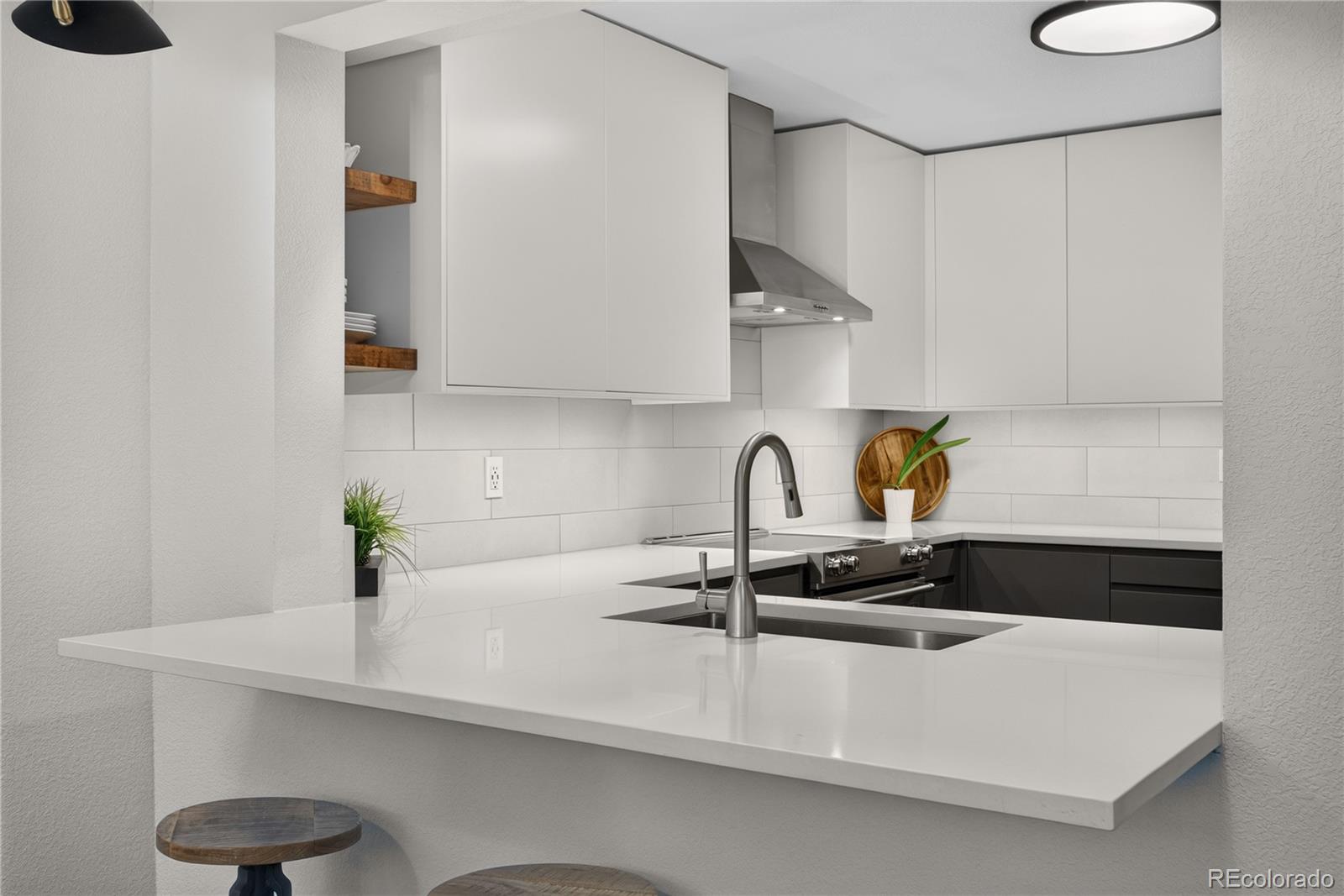 MLS Image #6 for 31719  rocky village drive,evergreen, Colorado