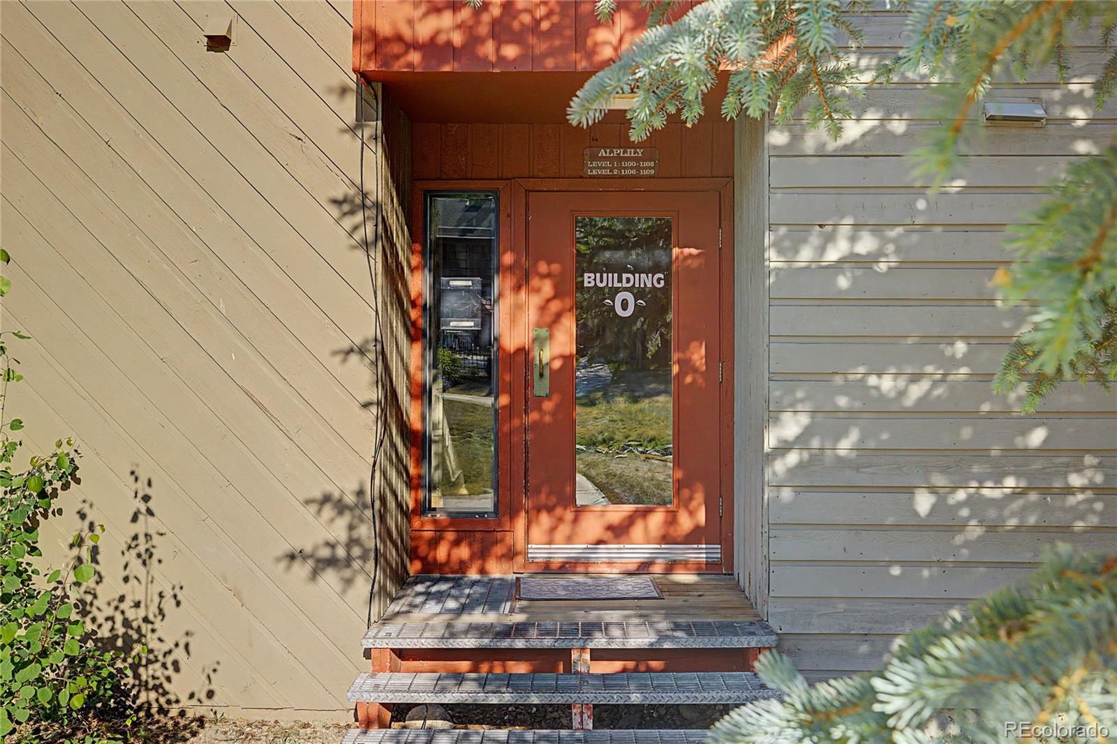 MLS Image #10 for 100  wild irishman road,dillon, Colorado
