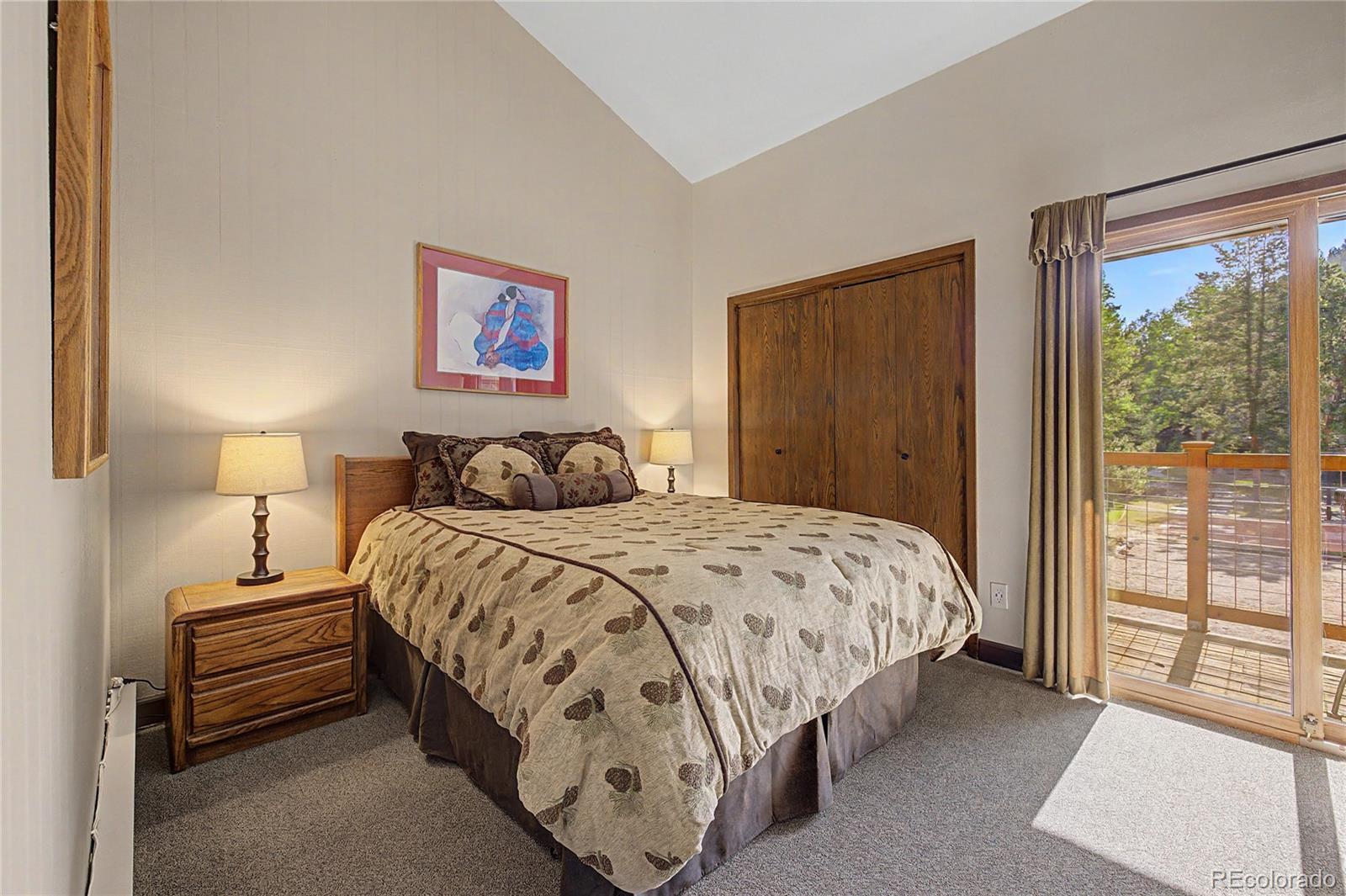 MLS Image #16 for 100  wild irishman road,dillon, Colorado
