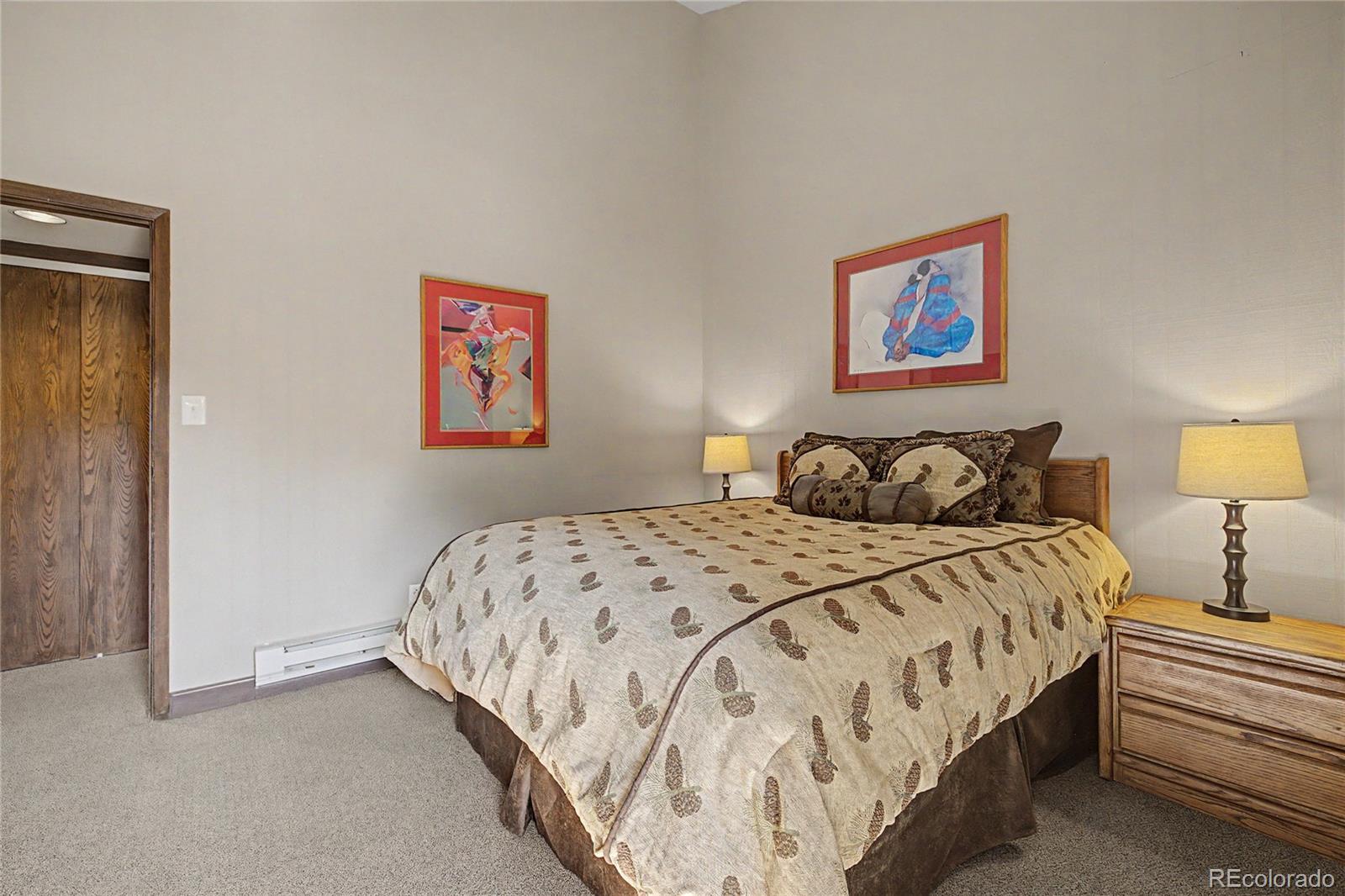 MLS Image #17 for 100  wild irishman road,dillon, Colorado
