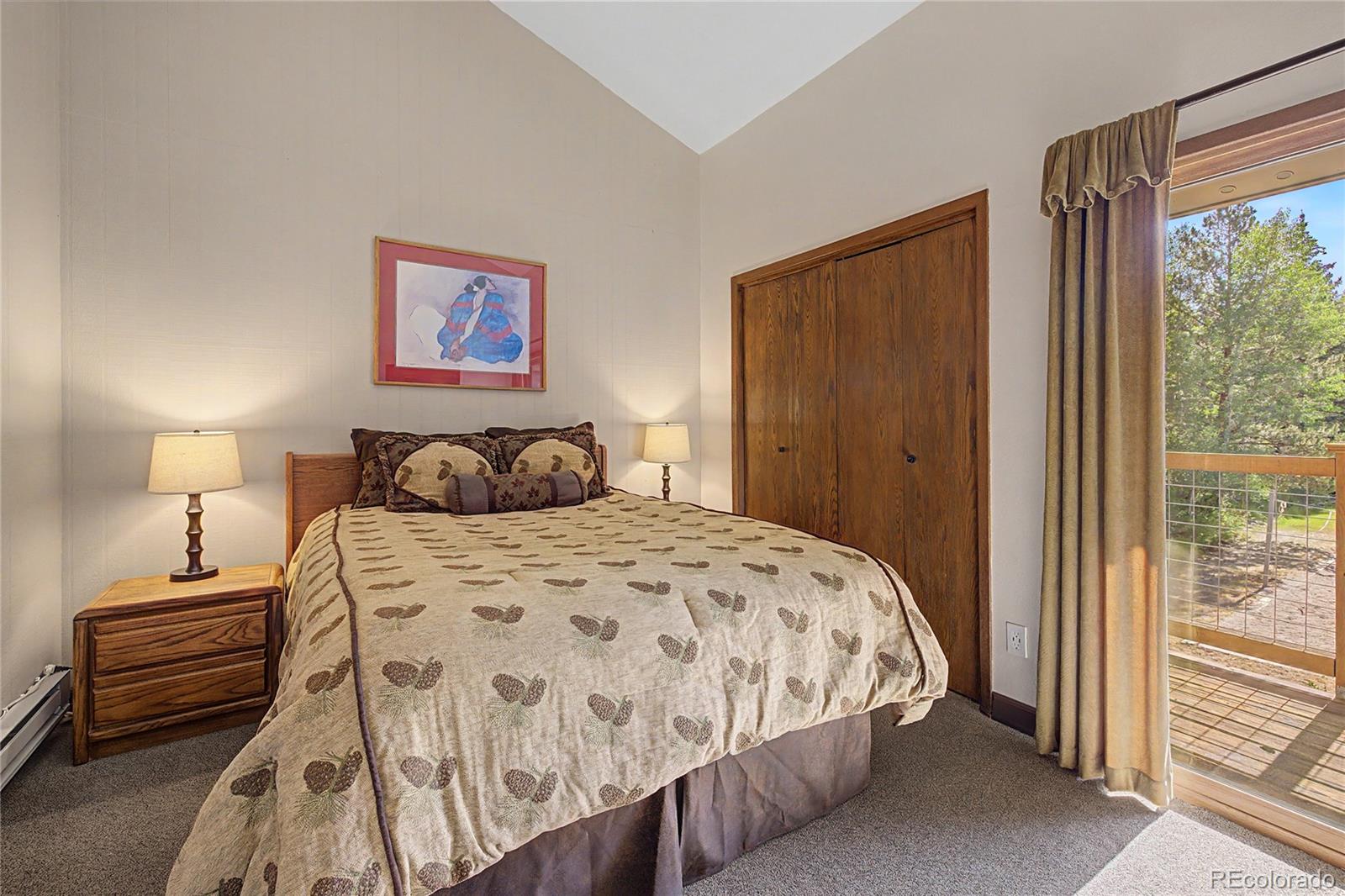 MLS Image #19 for 100  wild irishman road,dillon, Colorado
