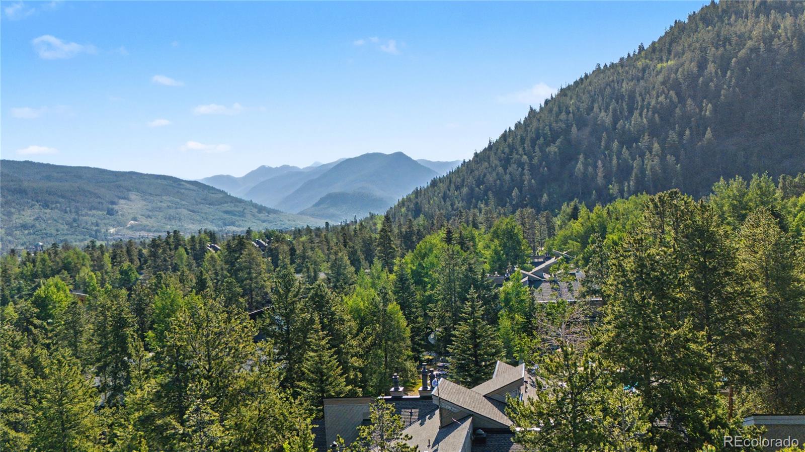 MLS Image #21 for 100  wild irishman road,dillon, Colorado