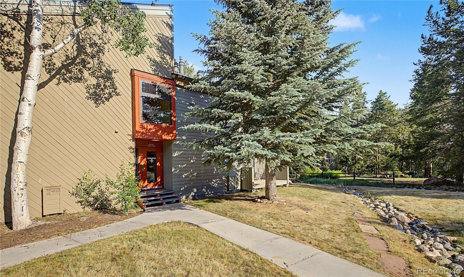 MLS Image #5 for 100  wild irishman road,dillon, Colorado