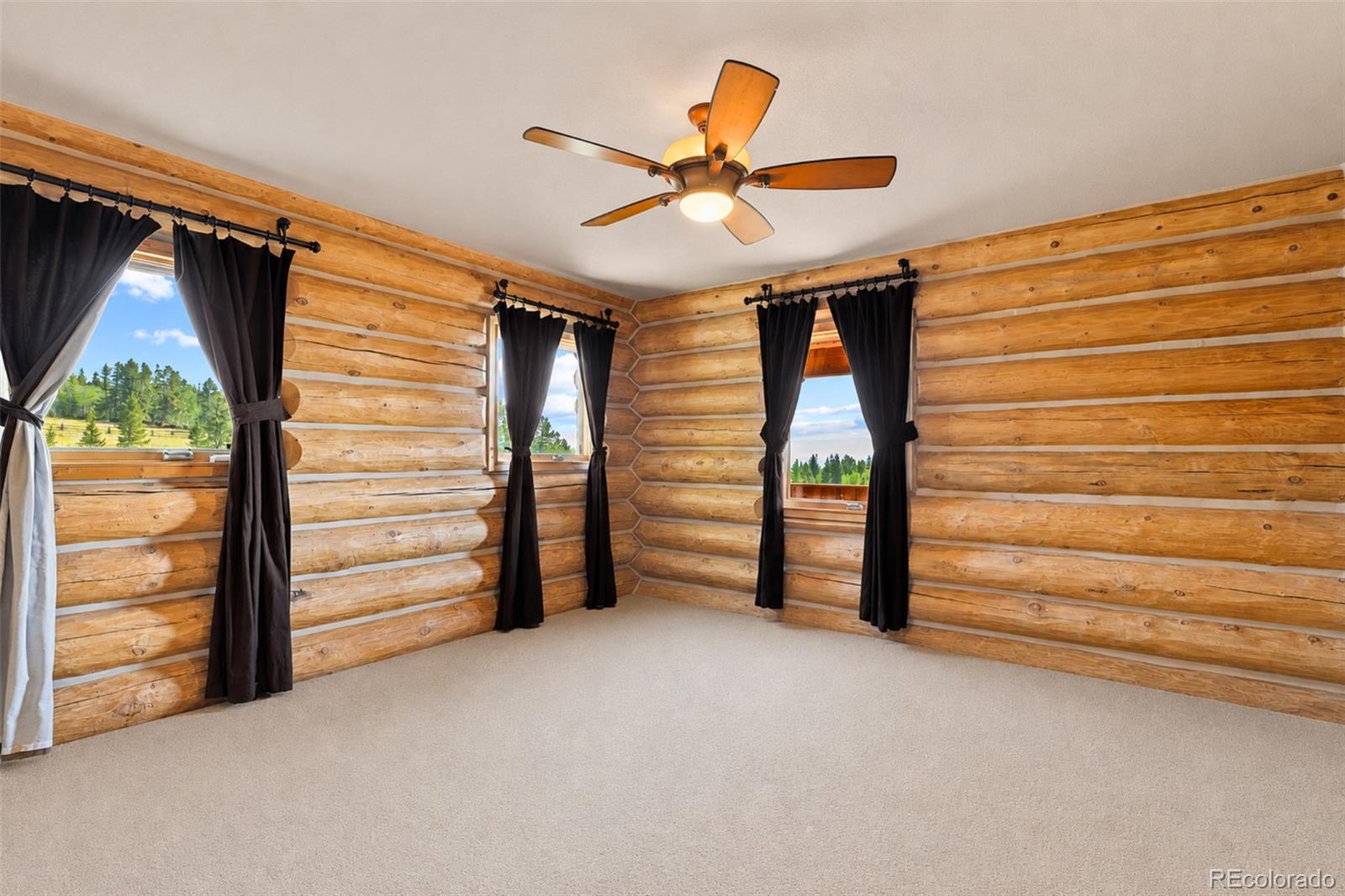 MLS Image #14 for 314  bluestem way,fairplay, Colorado