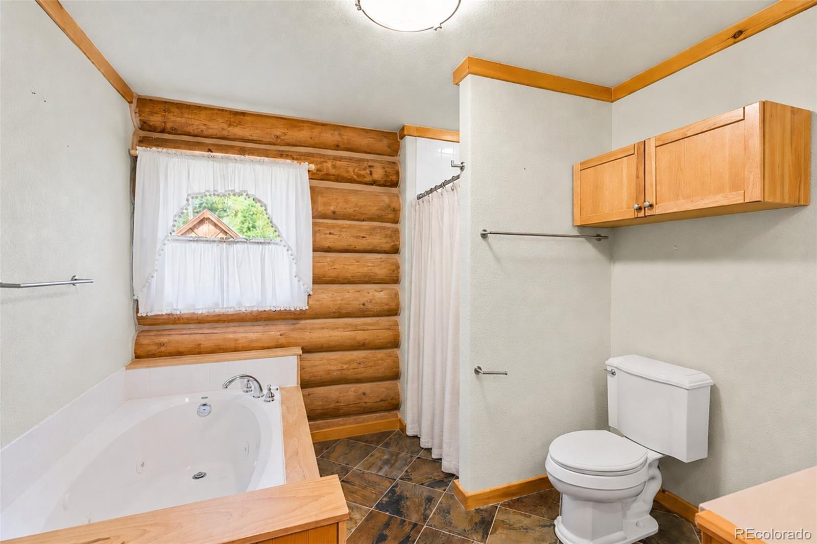 MLS Image #15 for 314  bluestem way,fairplay, Colorado