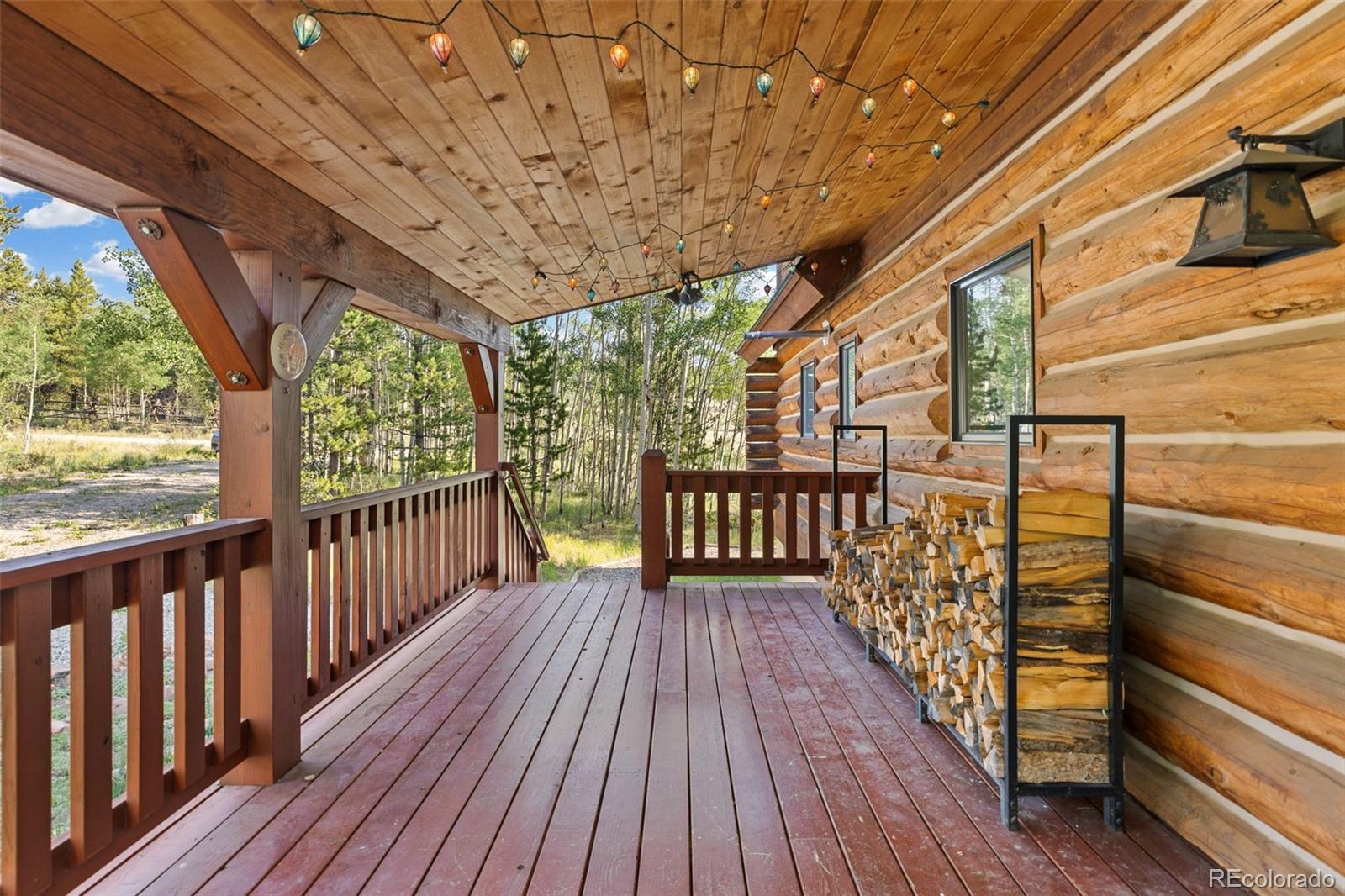 MLS Image #28 for 314  bluestem way,fairplay, Colorado