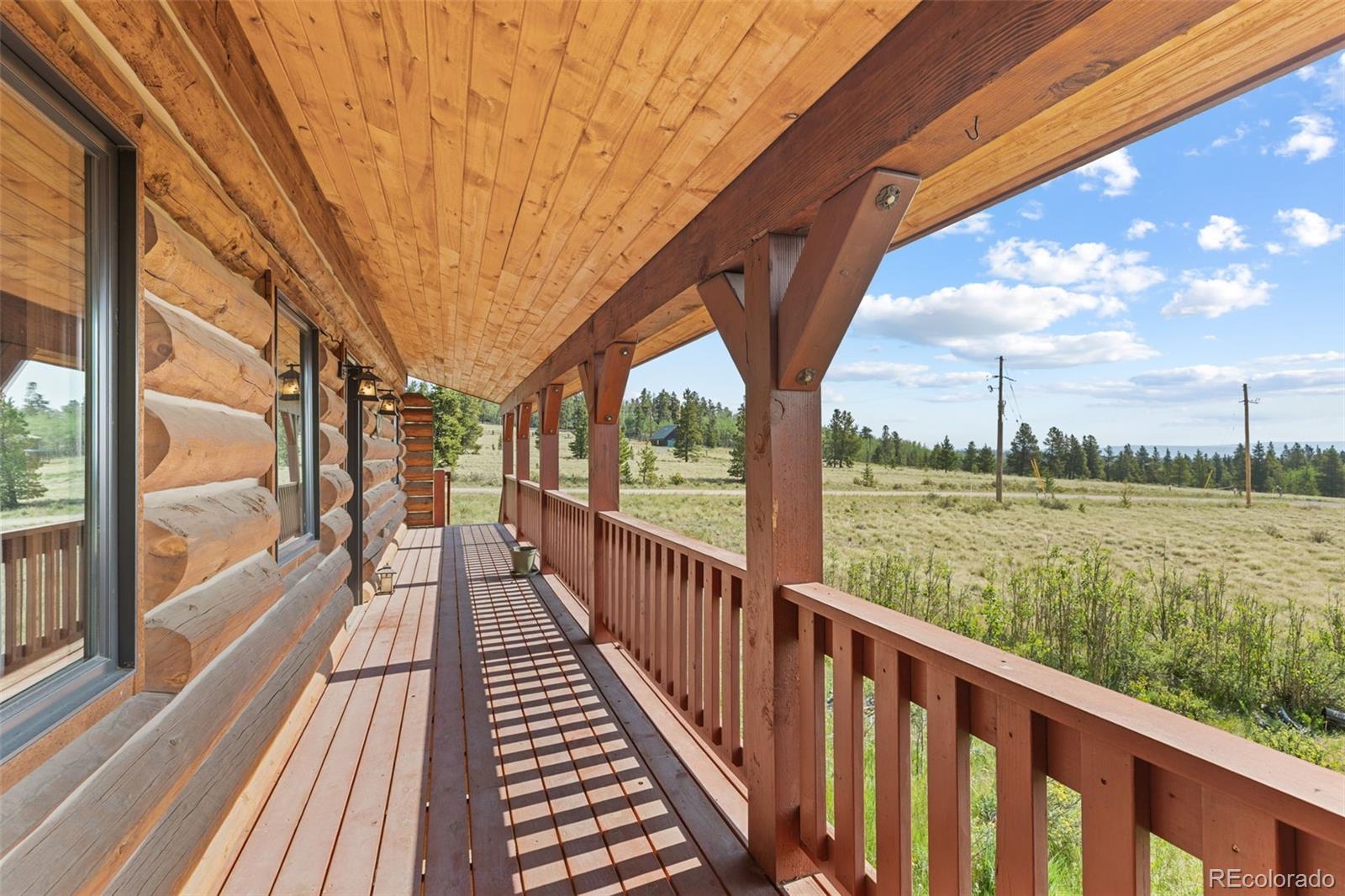 MLS Image #29 for 314  bluestem way,fairplay, Colorado