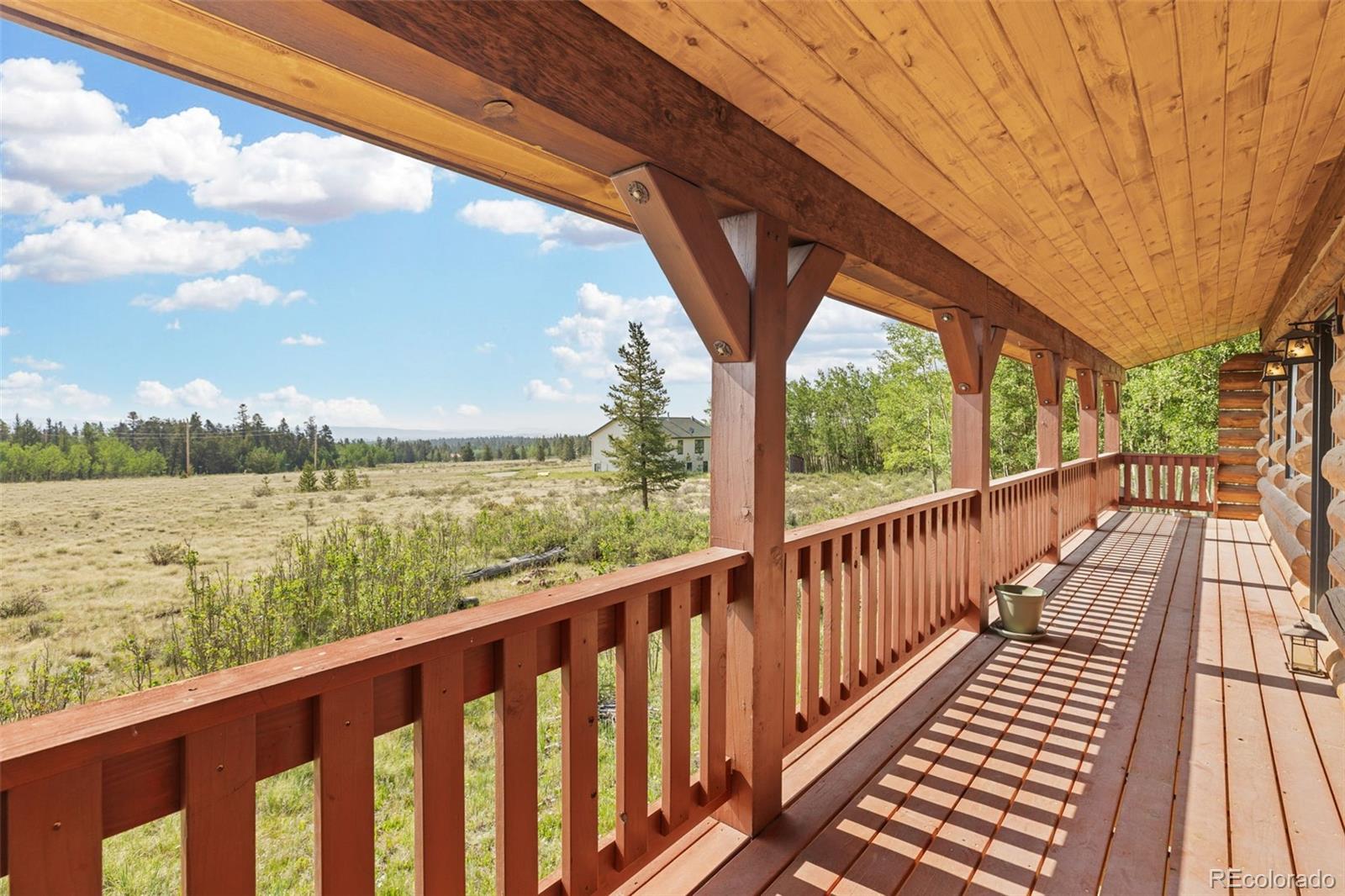 MLS Image #30 for 314  bluestem way,fairplay, Colorado