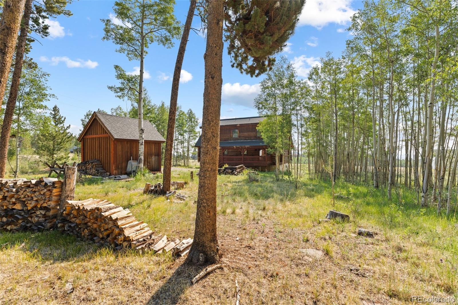 MLS Image #31 for 314  bluestem way,fairplay, Colorado