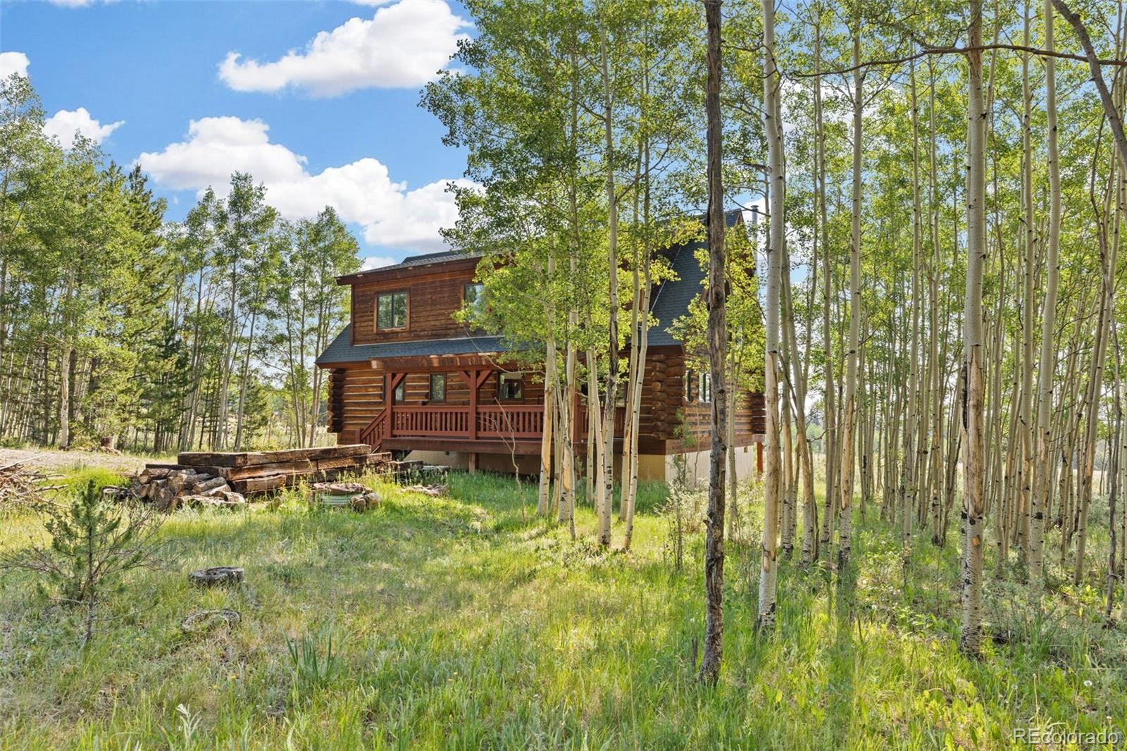 MLS Image #34 for 314  bluestem way,fairplay, Colorado