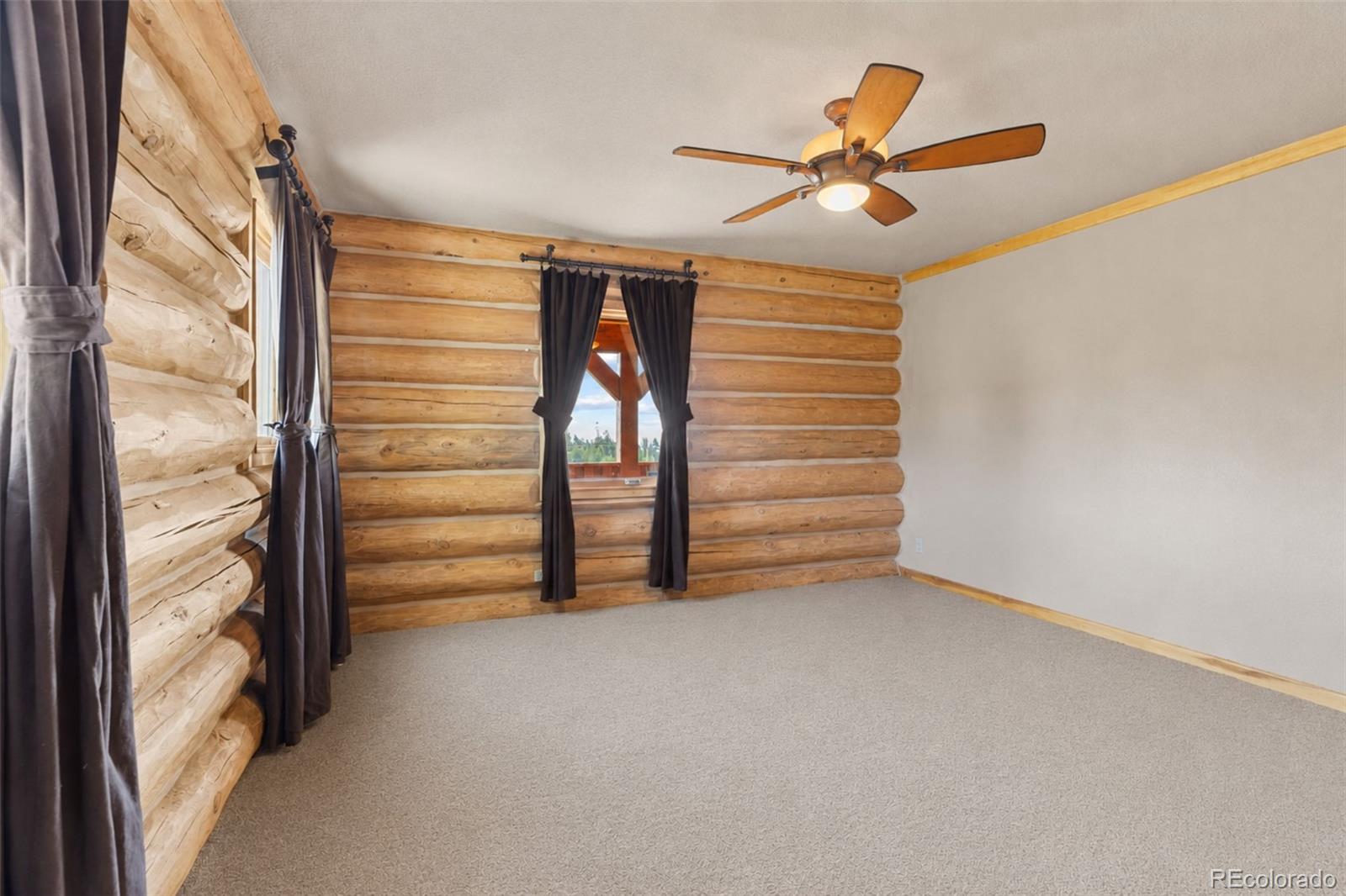 MLS Image #6 for 314  bluestem way,fairplay, Colorado