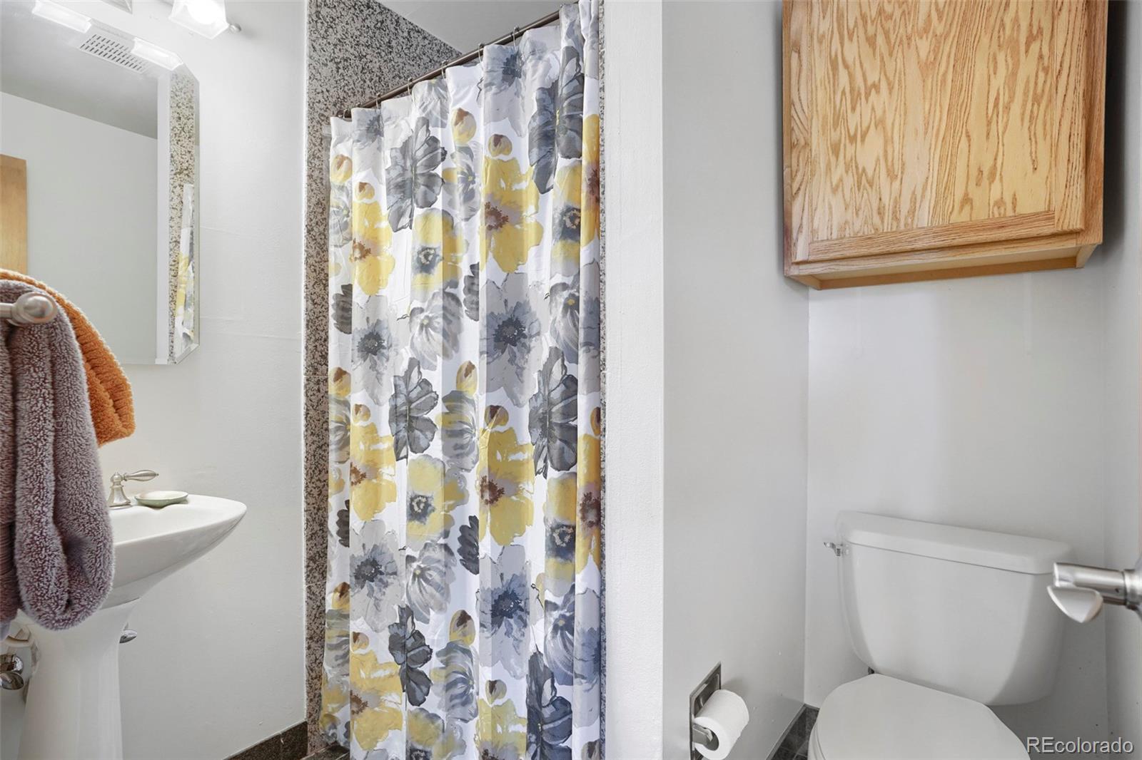 MLS Image #20 for 6456  wind hollow court,parker, Colorado