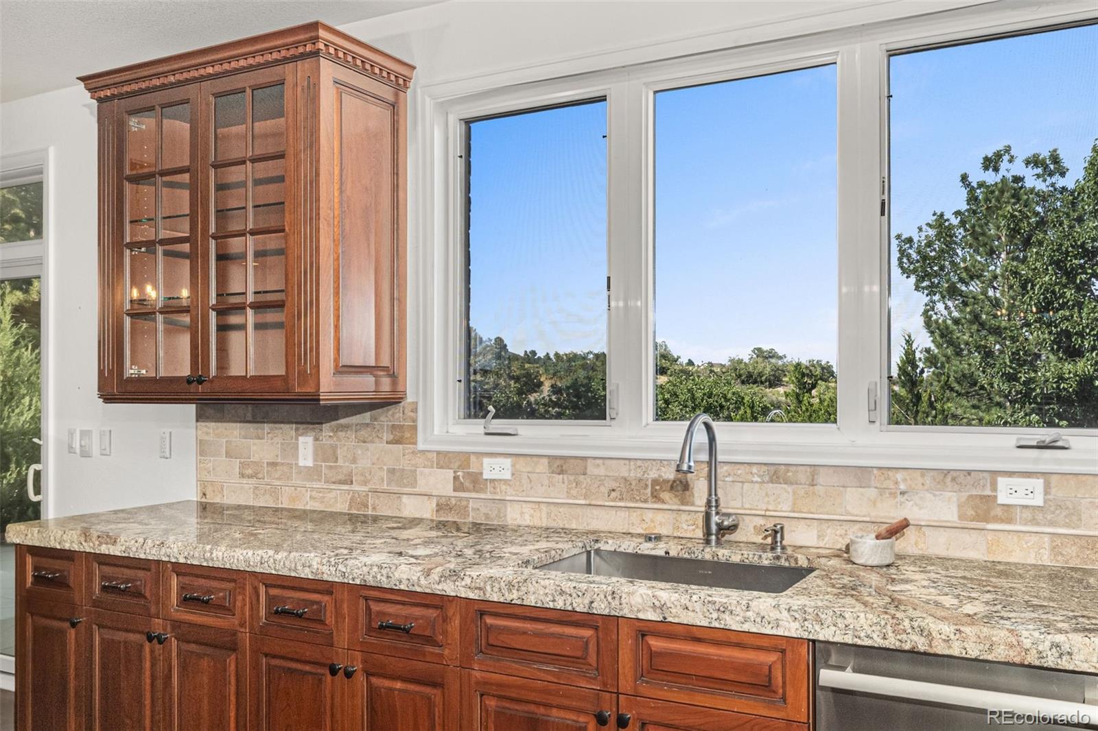 MLS Image #11 for 6577  esperanza drive,castle rock, Colorado