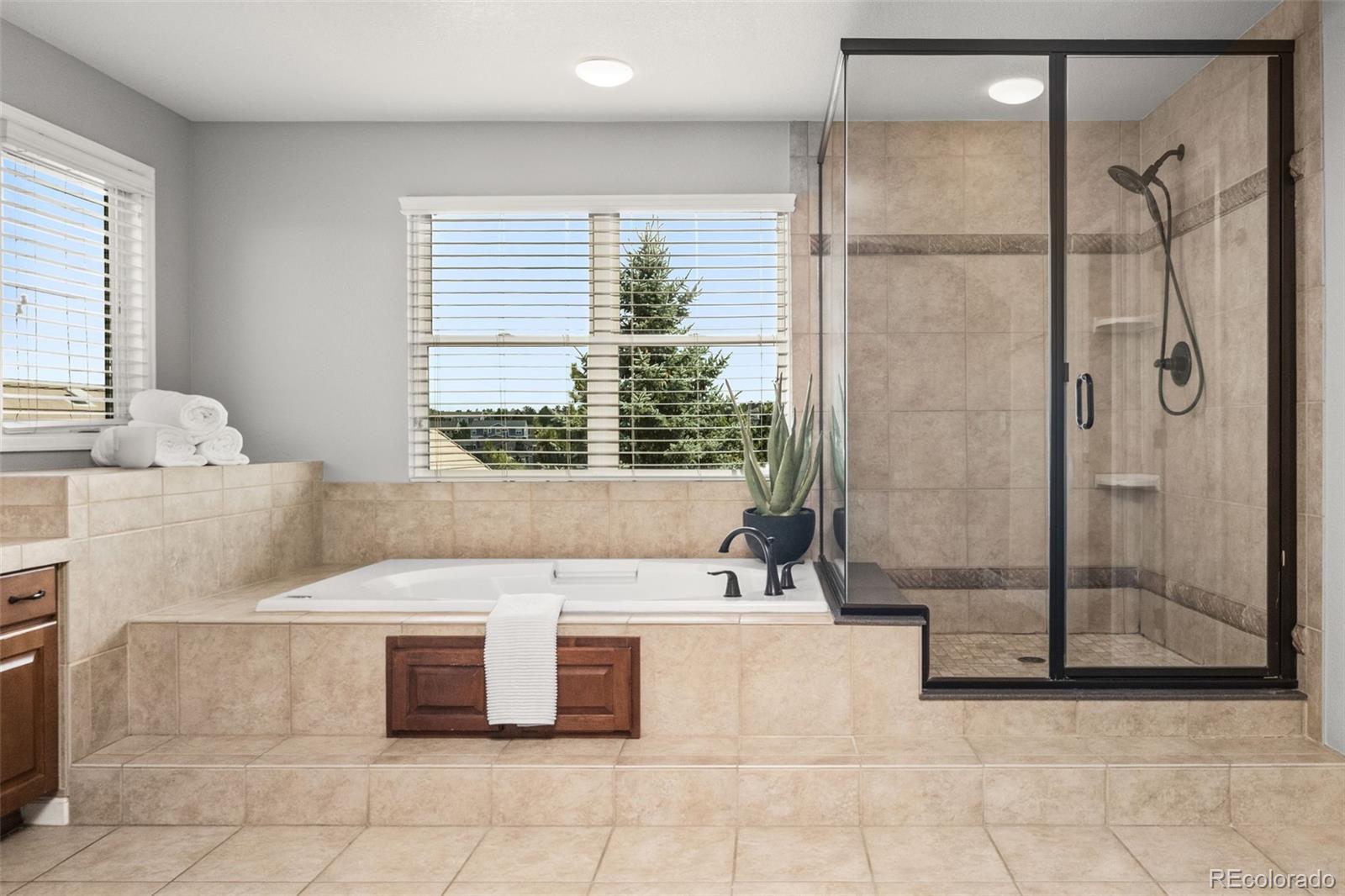 MLS Image #36 for 6577  esperanza drive,castle rock, Colorado