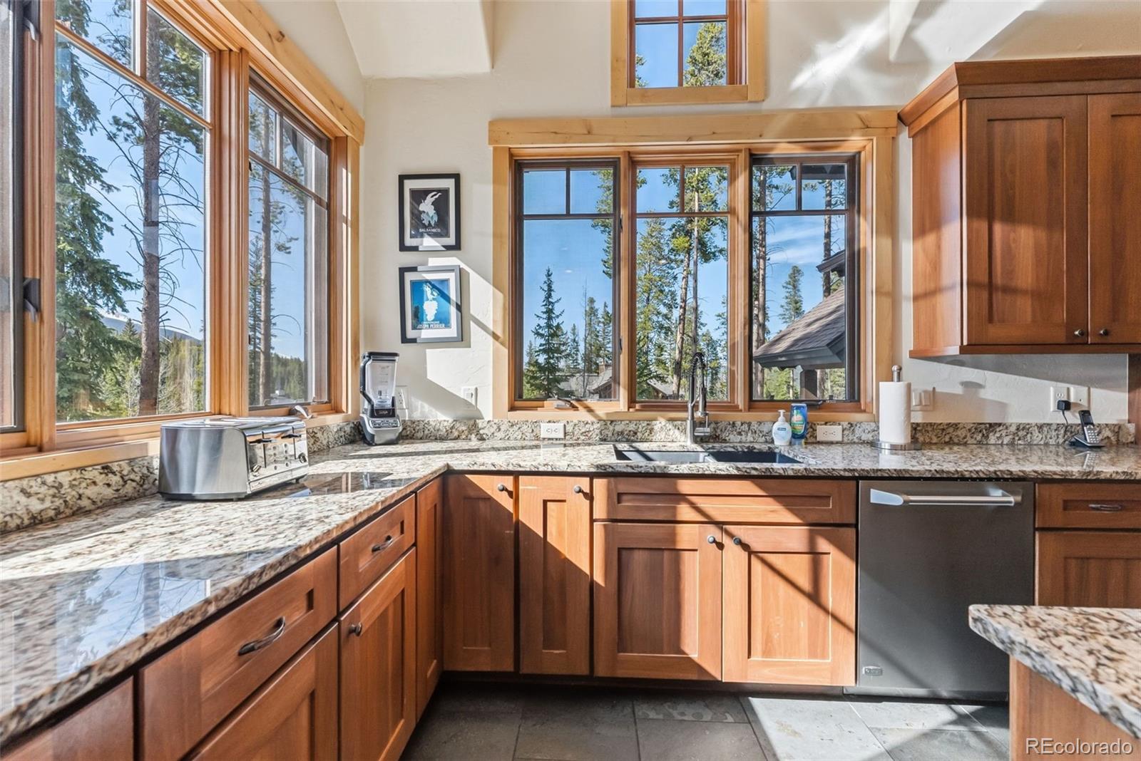 MLS Image #10 for 67  north woods lane,breckenridge, Colorado