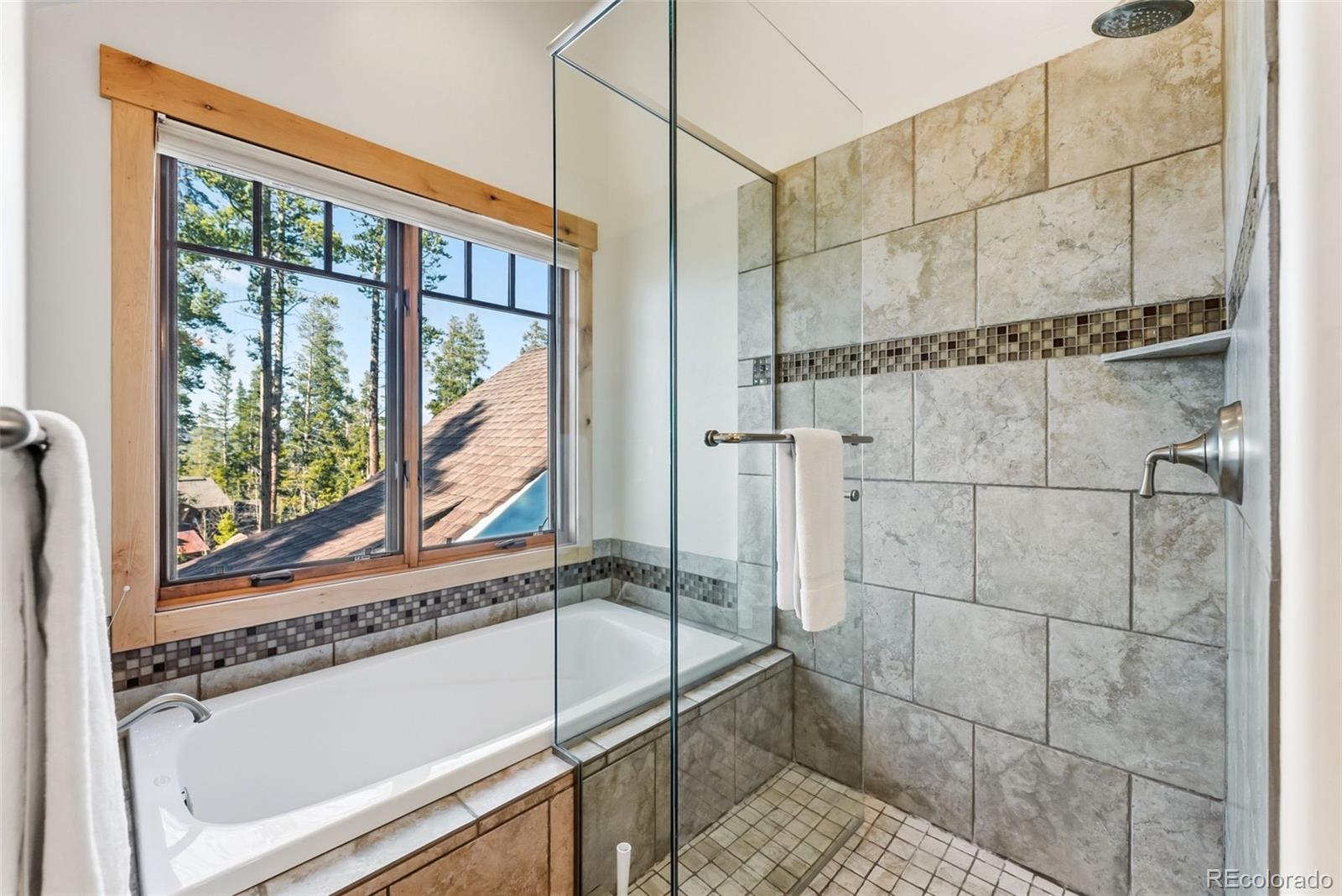 MLS Image #31 for 67  north woods lane,breckenridge, Colorado
